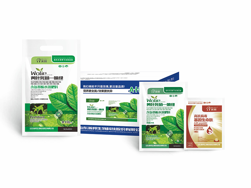 黃葉死苗一噴綠